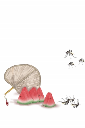 温情蒲扇-贵阳晚报·贵阳晚报·数字报